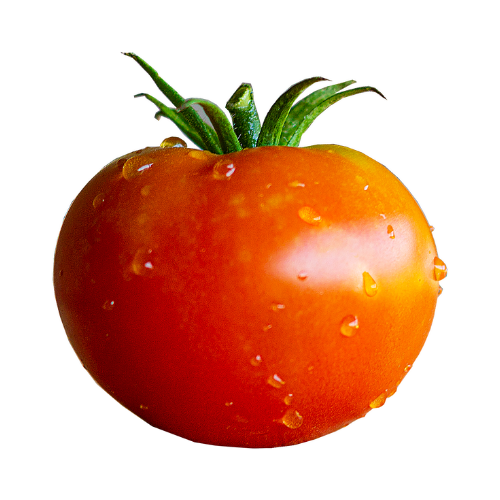 tomato